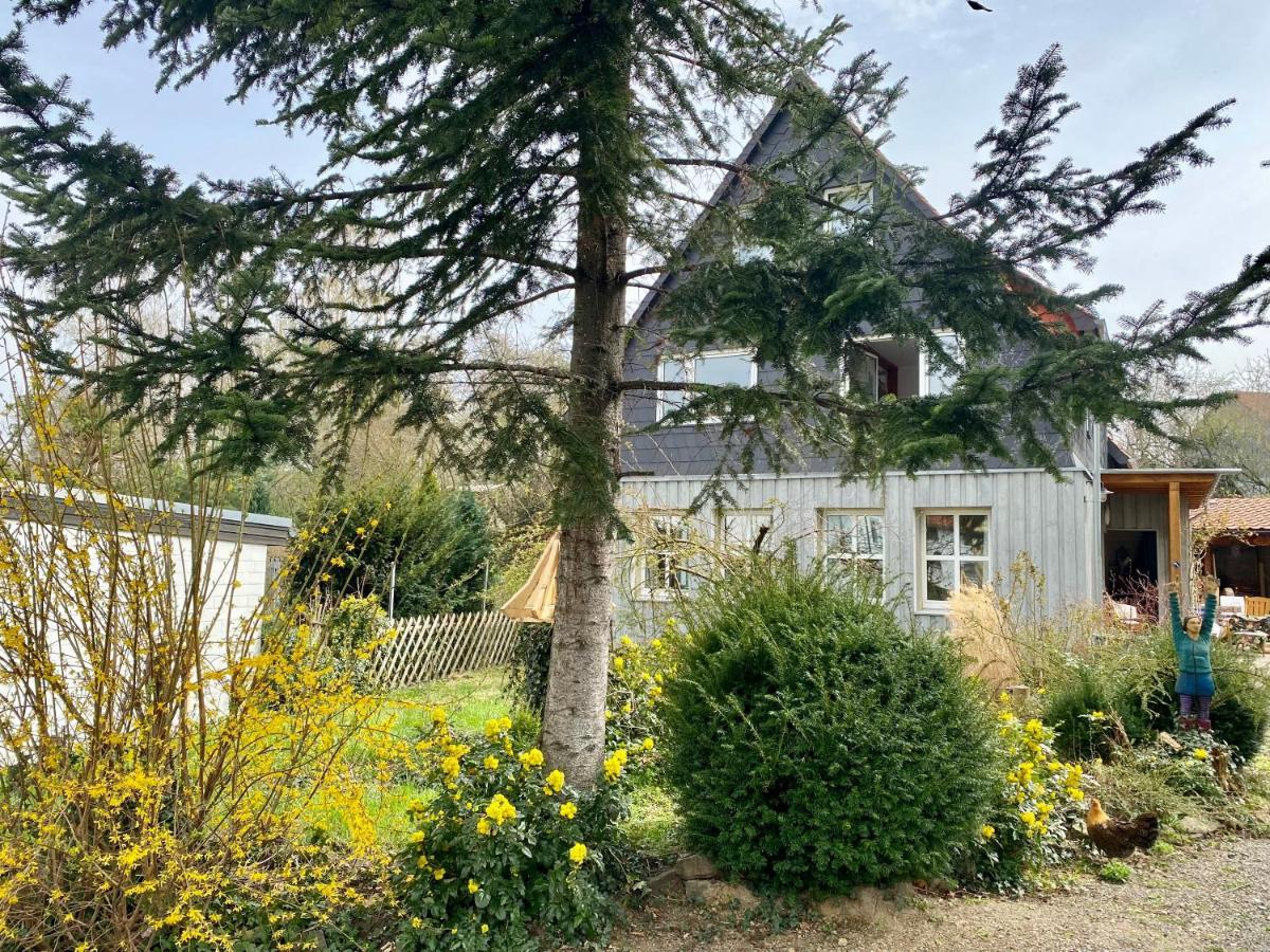 Gronocottage Bad Harzburg Kültér fotó